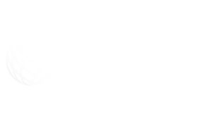 MASTERINT